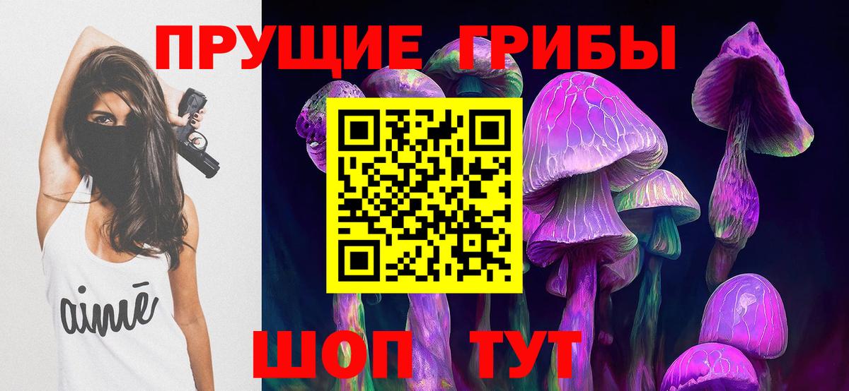Псилоцибиновые грибы Psilocybe Реутов